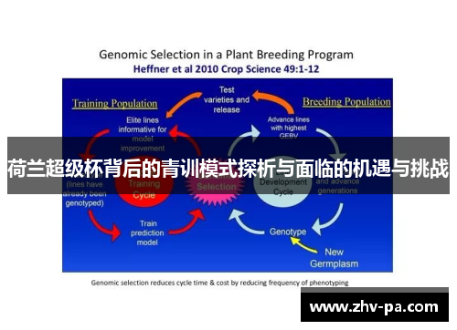 荷兰超级杯背后的青训模式探析与面临的机遇与挑战