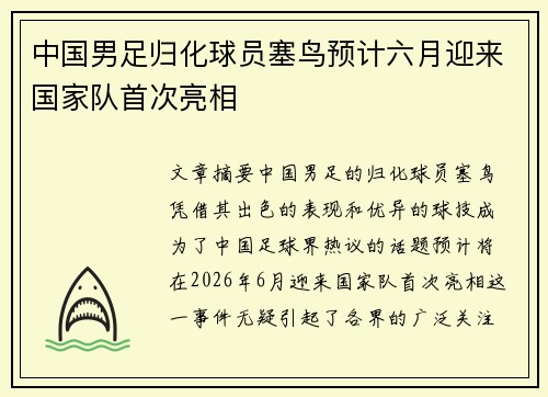 中国男足归化球员塞鸟预计六月迎来国家队首次亮相